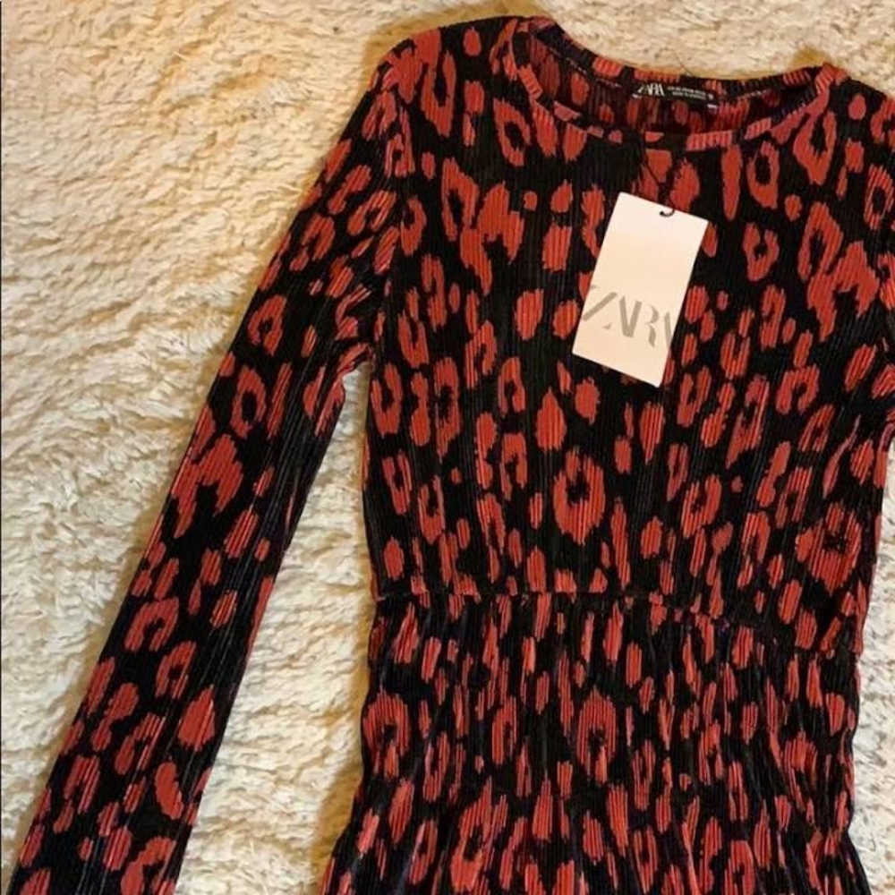 Zara Dress